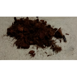 Fragments de Coco 10-20 mm pour filtre compact cocolit 5 et 9 EH